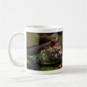Mudskipper amphibische Fische Oxudercinae Kaffeetasse (Links)