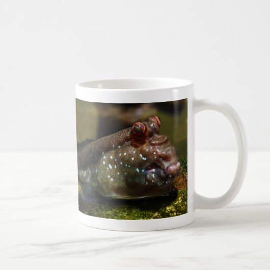 Mudskipper amphibische Fische Oxudercinae Kaffeetasse (Rechts)