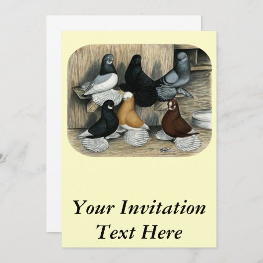 Muffed Tumbler Tauben Einladung (Vorne/Hinten)