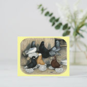 Muffed Tumbler Tauben Postkarte (Stehend Vorderseite)