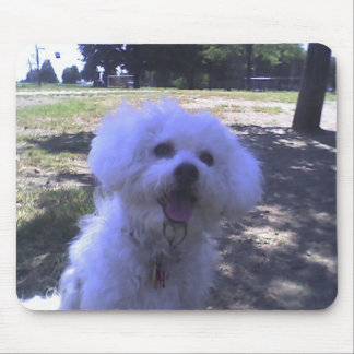 Muffie am Hundepark Mousepad