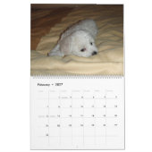 Muffie und Snowie 2008 Kalender (Feb 2027)