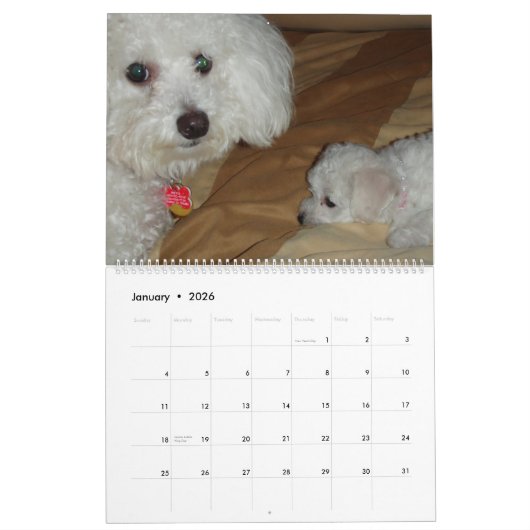 Muffie und Snowie 2008 Kalender (Jan 2026)