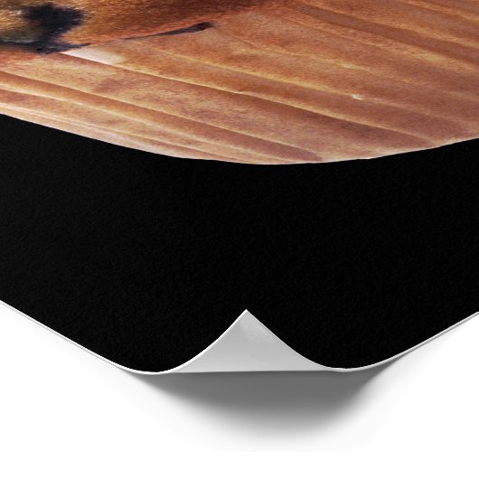 Muffin Poster (Ecke)