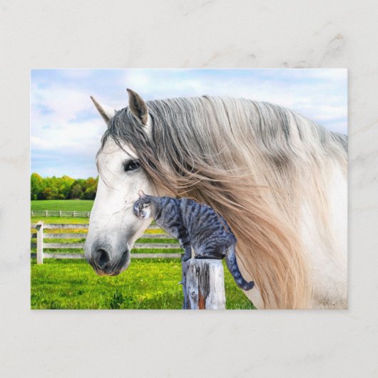 "Muffin & Saraband" Postkarte (Vorderseite)