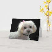 Muffys rosa Bogen Karte (Gelbe Blume)