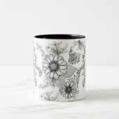 Mug Daisy Floral Zweifarbige Tasse (Mittel)