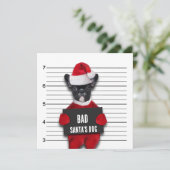 Mugshot Bad Santa's Funny Dog Weihnachten Einladung (Stehend Vorderseite)