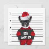 Mugshot Bad Santa's Funny Dog Weihnachten Einladung (Vorderseite)