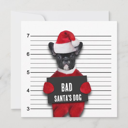 Mugshot Bad Santa's Funny Dog Weihnachten Einladung (Vorderseite)