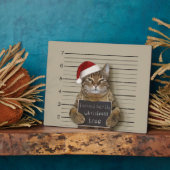 Mugshot Cat Christmas Fotoplatte (Seite)