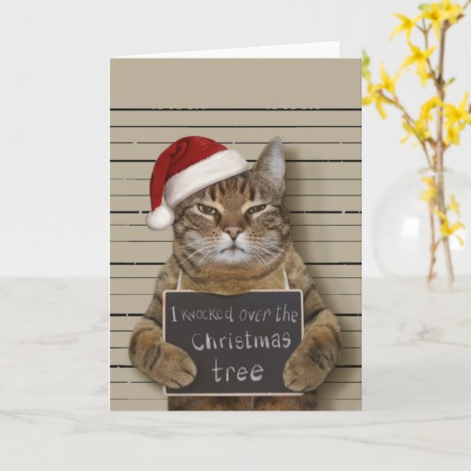 Mugshot Cat Christmas Karte (Gelbe Blume)