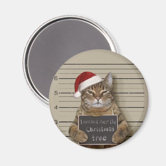 Mugshot Cat Christmas Magnet (Vorderseite/Rückseite)