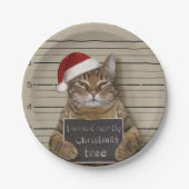 Mugshot Cat Christmas Pappteller (Vorderseite)