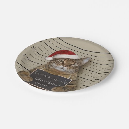 Mugshot Cat Christmas Pappteller (Schrägansicht)