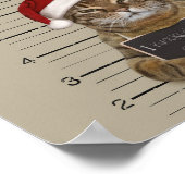 Mugshot Cat Christmas Poster (Ecke)