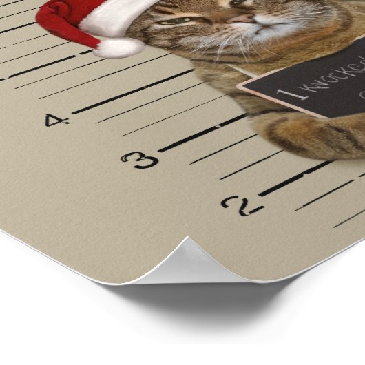 Mugshot Cat Christmas Poster (Ecke)