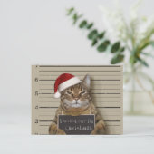 Mugshot Cat Christmas Postkarte (Stehend Vorderseite)