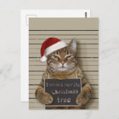 Mugshot Cat Christmas Postkarte (Vorne/Hinten)