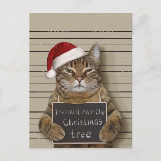 Mugshot Cat Christmas Postkarte (Vorderseite)