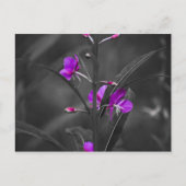 Mugshot-Postkarte für Feuerwaffen Postkarte (Vorderseite)