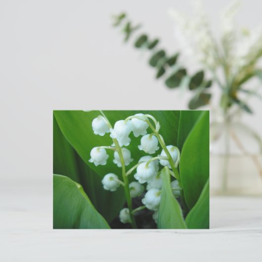 Muguet Postkarte (Stehend Vorderseite)