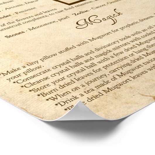 MUGWORT MAGICK HERB POSTER (Ecke)