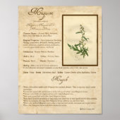 MUGWORT MAGICK HERB POSTER (Vorne)