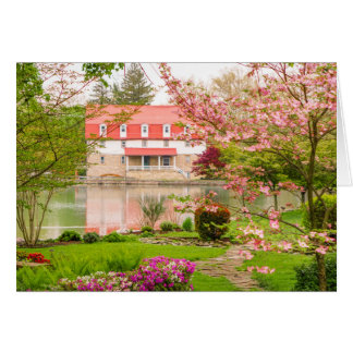 Mühle im Frühjahr mit Teich