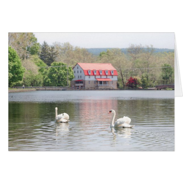 Mühle im Sommer mit 2 Schwänen im Teich (Vorderseite (Horizontal))