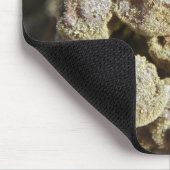 Mühlertrauben mit edler Rote. Erntezeit Mousepad (Ecke)