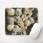 Mühlertrauben mit edler Rote. Erntezeit Mousepad (Mit Mouse)