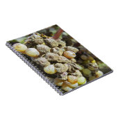 Mühlertrauben mit edler Rote. Erntezeit Notizblock (Rechte Seite)