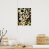 Mühltrauben mit edlem Fäule. zur Erntezeit Poster (Küche)