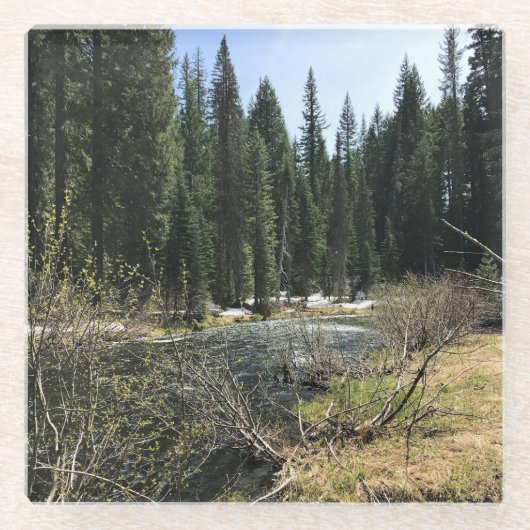 Muir Creek, Oregon Glasuntersetzer (Vorderseite)