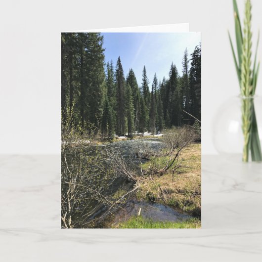 Muir Creek, Oregon Karte (Vorderseite)