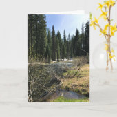 Muir Creek, Oregon Karte (Gelbe Blume)