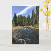 Muir Creek, Oregon Karte (Gelbe Blume)