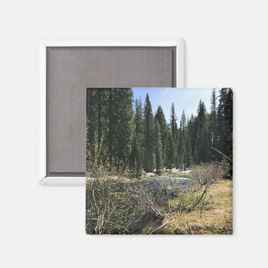 Muir Creek, Oregon Magnet (Vorderseite/Rückseite)