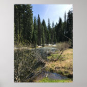 Muir Creek, Oregon Poster (Vorne)