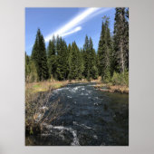 Muir Creek, Oregon Poster (Vorne)