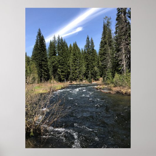 Muir Creek, Oregon Poster (Vorne)