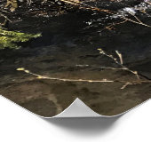 Muir Creek, Oregon Poster (Ecke)