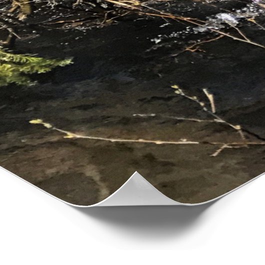 Muir Creek, Oregon Poster (Ecke)