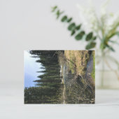 Muir Creek, Oregon Postkarte (Stehend Vorderseite)