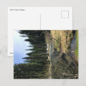 Muir Creek, Oregon Postkarte (Vorne/Hinten)
