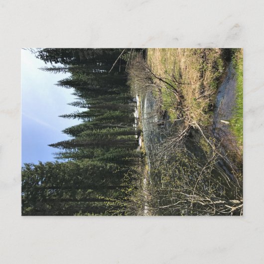 Muir Creek, Oregon Postkarte (Vorderseite)