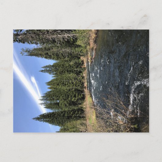 Muir Creek, Oregon Postkarte (Vorderseite)