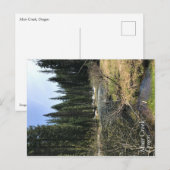 Muir Creek, Oregon Postkarte (Vorne/Hinten)