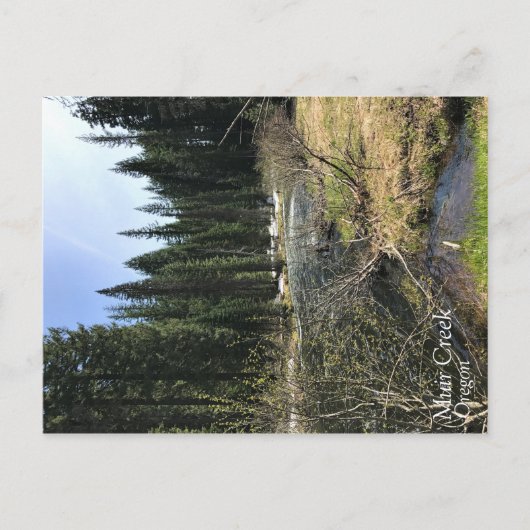 Muir Creek, Oregon Postkarte (Vorderseite)